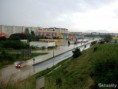 /album/fotogaleria/kosuty-martin-10-1-jpg/